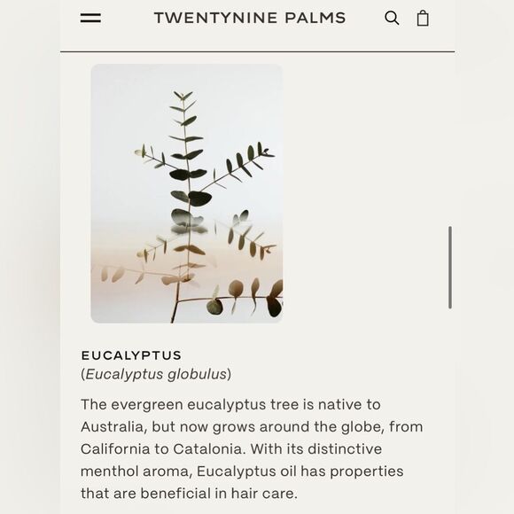 29 Palms | Desert Tumbleweed Shampoo - Picture 7 of 10